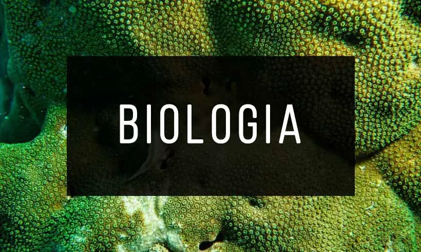 +50 Livros de Biologia Grátis! [PDF]