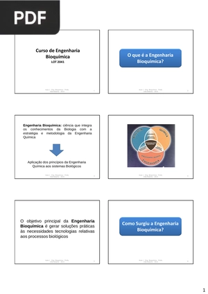 Curso de Engenharia Bioquímica (Artigo)