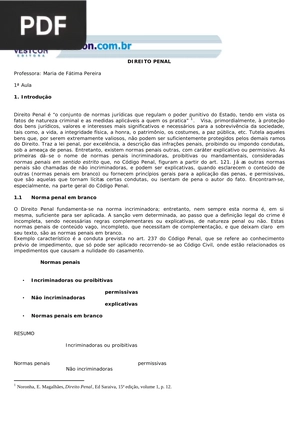 Principios do direito penal brasileiro