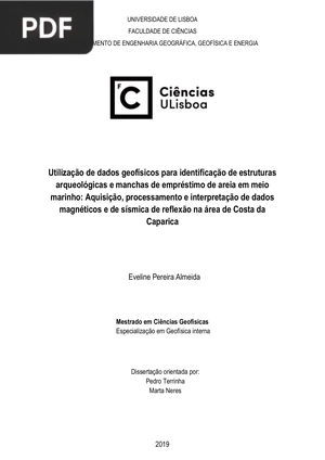 Utilização de dados geofísicos para identificação de estruturas arqueológicas e manchas de empréstimo de areia em meio marinho
