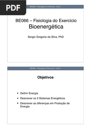 Bioenergética (Apresentação)