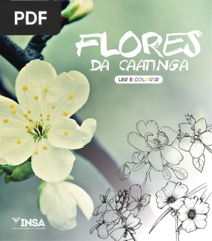 Flores da Caatinga lidas e coloridas.