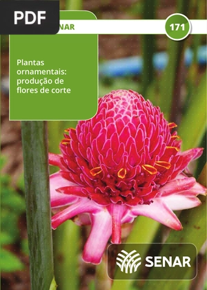 Plantas ornamentais - produção de flores de corte