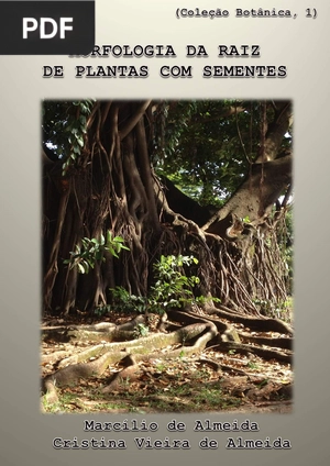 Morfologia da raiz de plantas com sementes - Livro 1