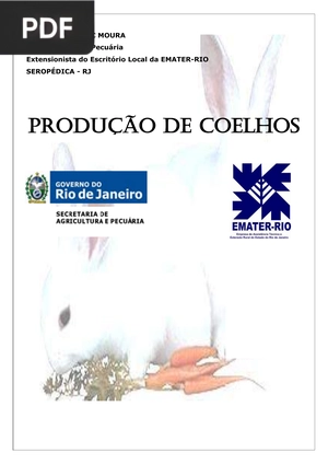 Produção de Coelhos