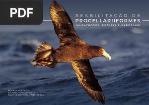 Reabilitação de Procellariiformes (albatrozes, petréis e pardelas)