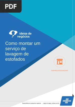 Como montar um serviço de lavagem de estofados