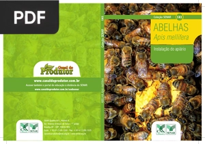 Abelhas Apis Mellifera