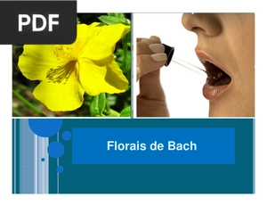 Florais de Bach (Apresentação)