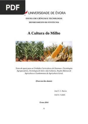A cultura do milho