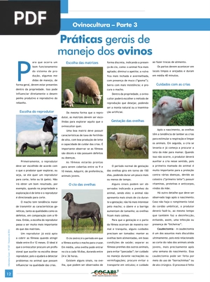 Práticas gerais de manejo dos ovinos (artigo)