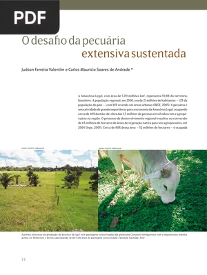 O desafio da pecuária extensiva sustentada