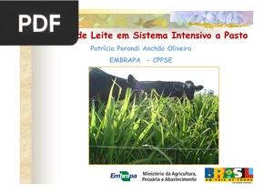 Produção de Leite em Sistema Intensivo a Pasto (Apresentação)