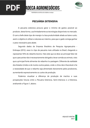 Pecuária Extensiva (artigo)