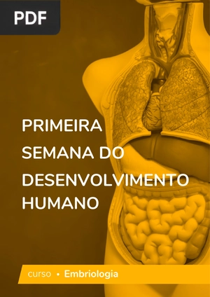 Primeira semana do desenvolvimento humano (Artigo)