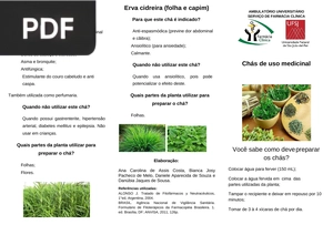 Chás de uso medicinal (Artigo)