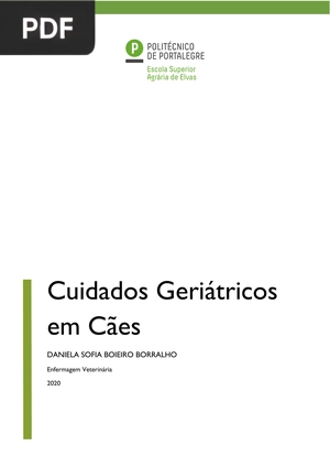Cuidados Geriátricos em Cães