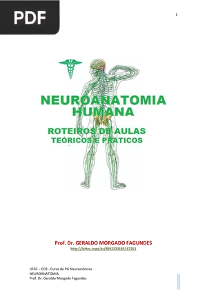 Neuroanatomia humana