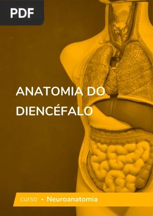 Anatomia do Diencéfalo
