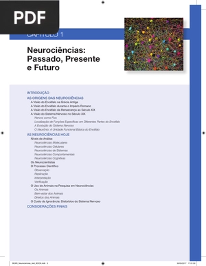 Neurociências: Passado, Presente e Futuro