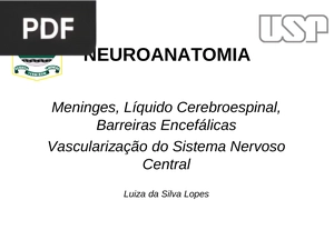 Neuroanatomia Meninges, Líquido Cerebroespinal, Barreiras Encefálicas e Vascularização do Sistema Nervoso Central (Apresentação)