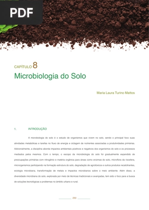 Microbiologia do solo