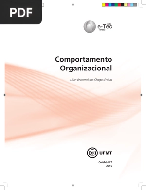 Comportamento Organizacional