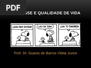 Estresse e qualidade de vida (Apresentação)