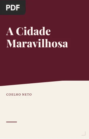 A Cidade Maravilhosa