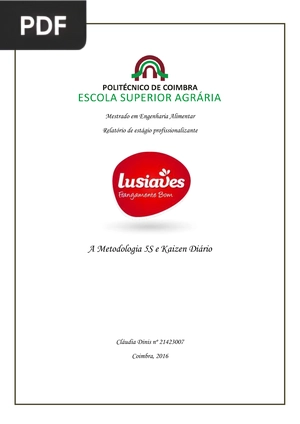 A Metodologia 5S e Kaizen Diário