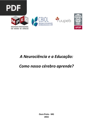 A Neurociência e a Educação. Como nosso cérebro aprende