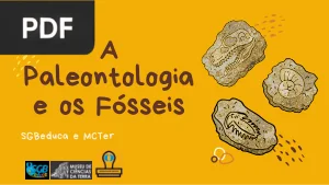 A Paleontologia e os Fósseis