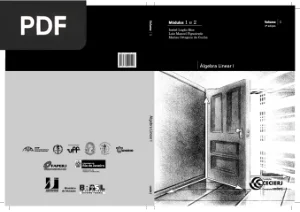 Álgebra Linear (UFJF Vol.1)