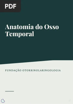 Anatomia do Osso Temporal
