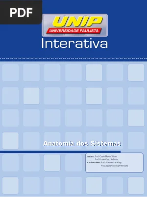 Anatomia dos Sistemas