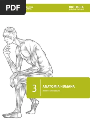 Anatomia Humana
