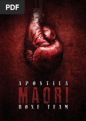 Apostila de Boxe Maori Team