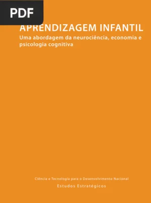 Aprendizagem Infantil: Uma Abordagem da Neurociência, Economia e Psicologia Cognitiva