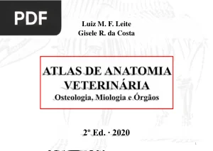 Atlas de Anatomia Veterinária: Osteologia, Miologia e Órgãos