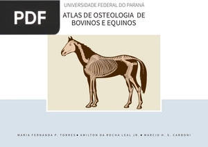 Atlas de Osteologia de Bovinos e Equinos