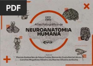 Atlas Fotográfico de Neuroanatomia Humana