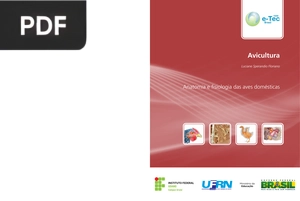 Avicultura