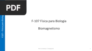 Biomagnetismo