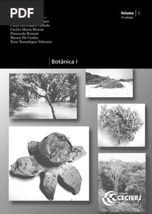 Botânica I Módulo 1