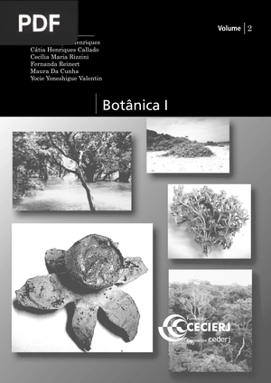 Botânica I Módulo 2