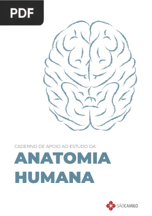 Caderno de Apoio ao Estudo da Anatomia Humana