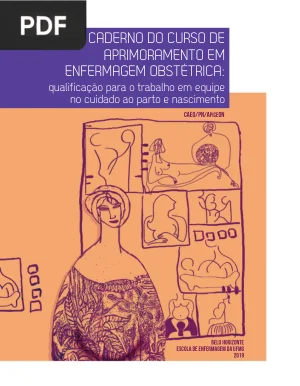 Caderno do Curso de Aprimoramento em Enfermagem Obstétrica