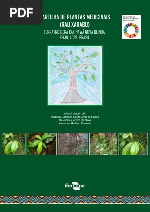 Cartilha de Plantas Medicinais (Rau Xarabu): Terra Indígena Kaxinawá Nova Olinda