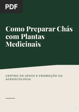 Como Preparar Chás com Plantas Medicinais