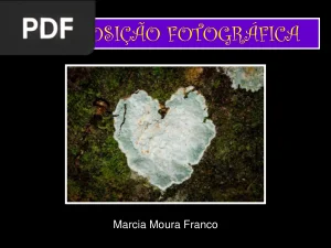 Composição Fotográfica